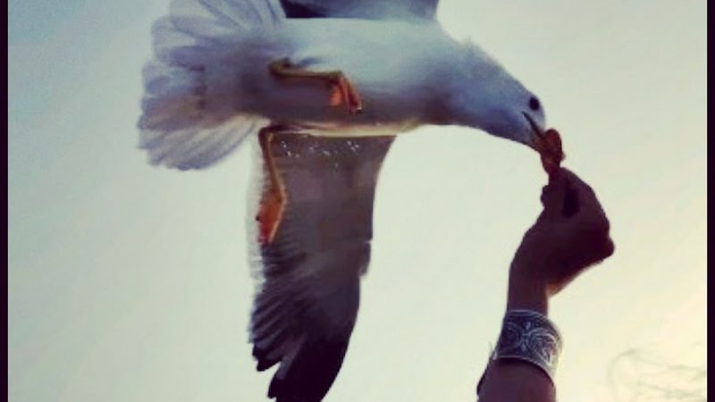 I wish; feeding your baby could be this simple.
